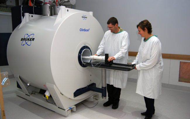 Gary and Karine using the MRI. Image courtesy of CAI, UQ
