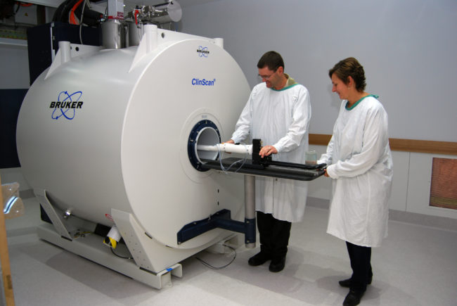 Gary and Karine using the MRI. Image courtesy of CAI, UQ