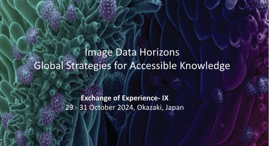 Global BioImaging Exchange of Experience