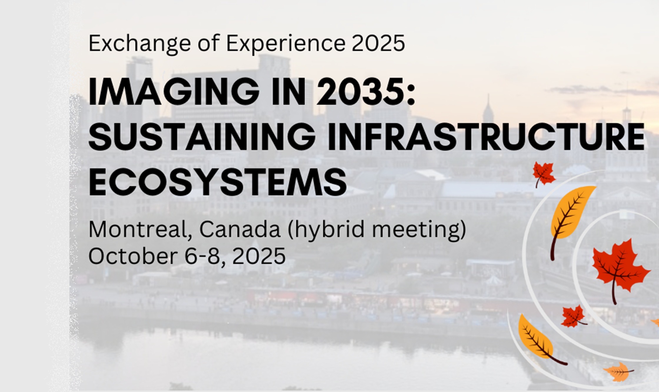 PAST: Imaging in 2035 – Sustaining Infrastructure Ecosystems & Advanced Technologies