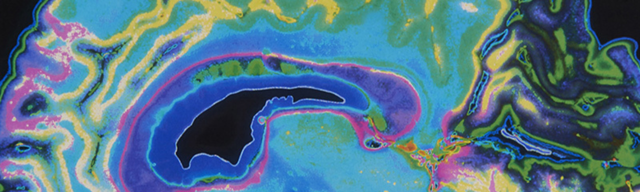 2026 Sydney Clinical Imaging Summit