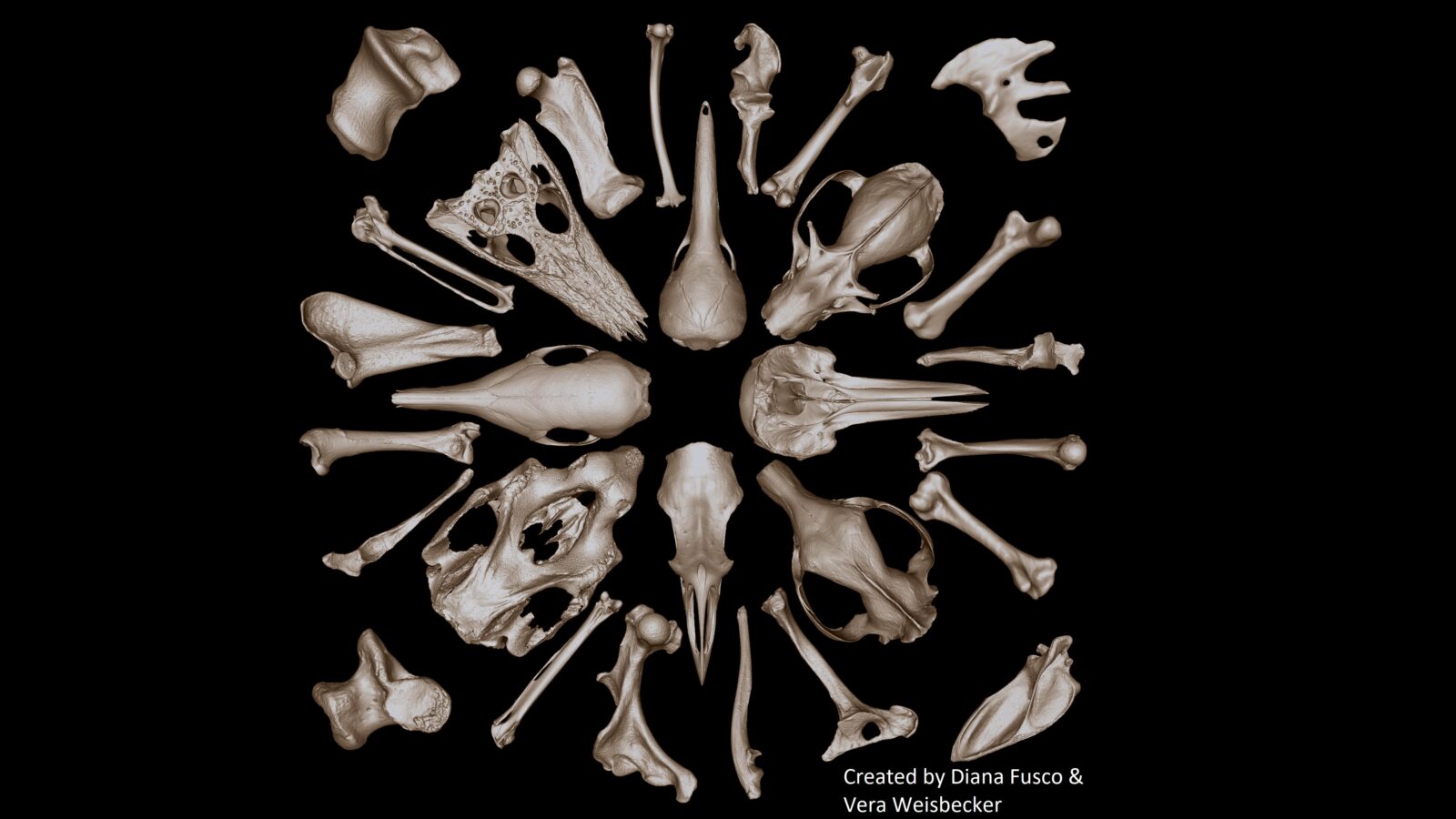 Feature Image