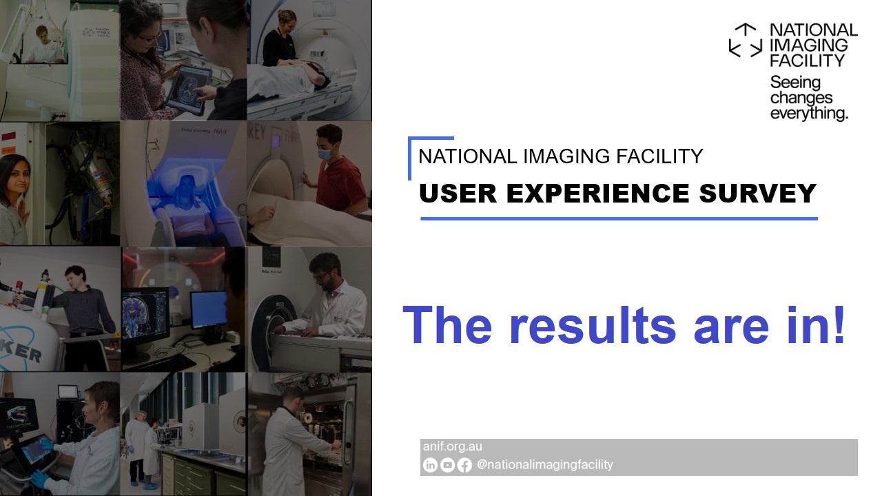 NIF users: your 2026 survey results
